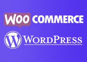 Formation WordPress et Woocommerce Paris