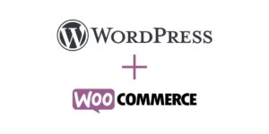 Un expert WordPress pour la création de sites Woocommerce