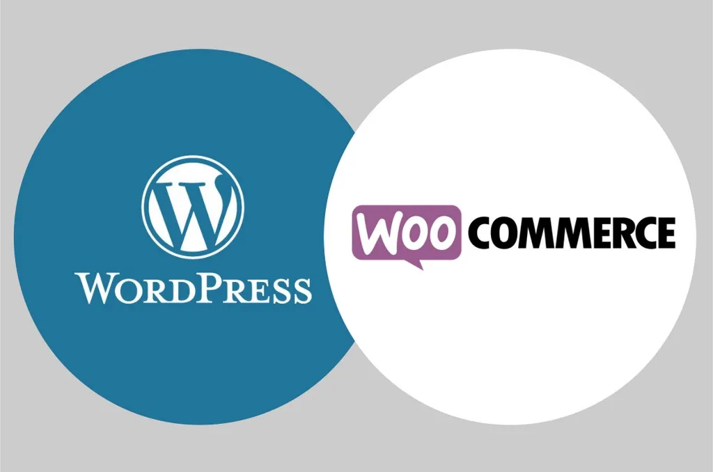 Développeur Expert WordPress et Woocoomerce Paris