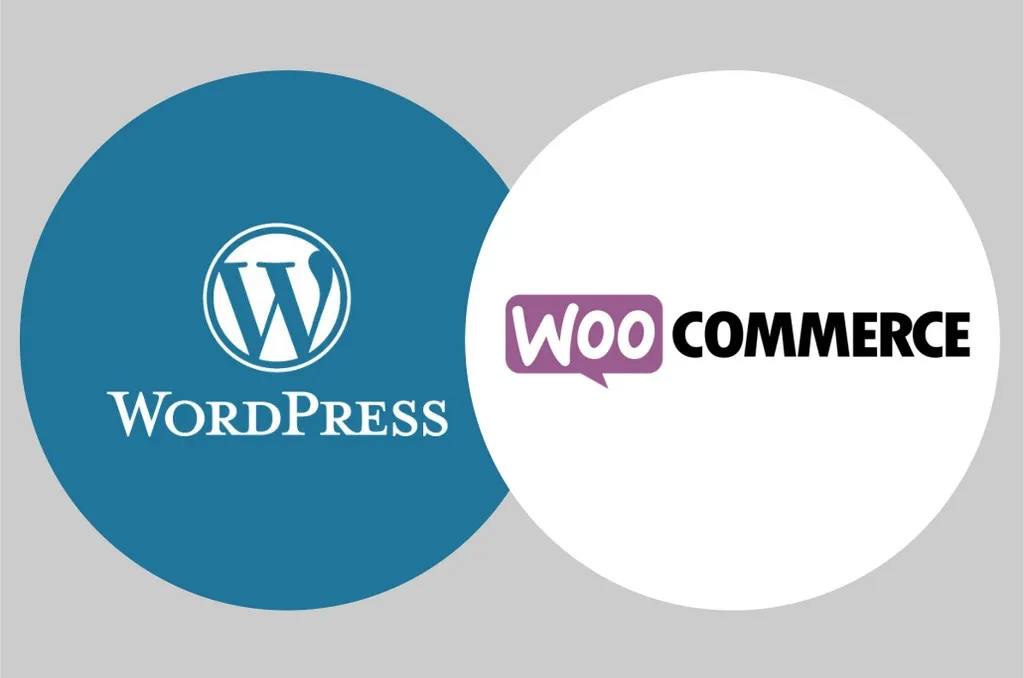 Formation wordpress Paris